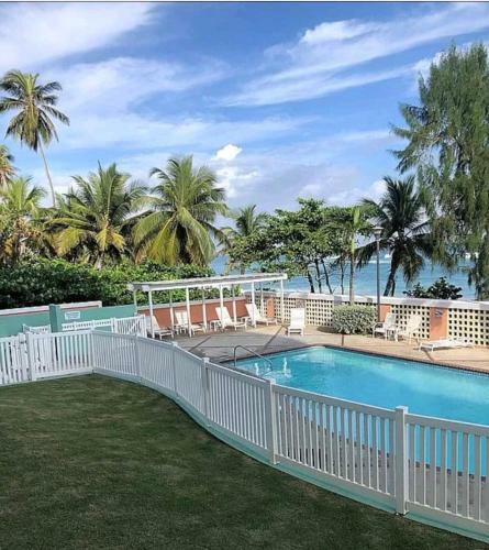 Apartamento *beach Front Oasis With Fast Wifi & A/c*