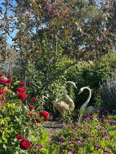 Bed & Breakfast River Gardens Axedale