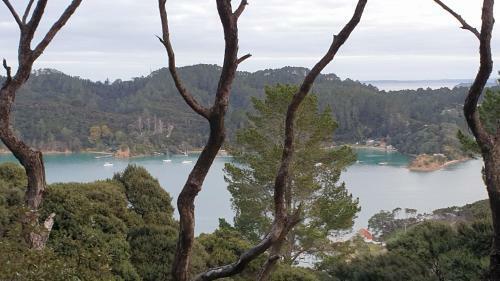 The Sassy Bach - Kawau Island