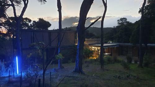 The Sassy Bach - Kawau Island