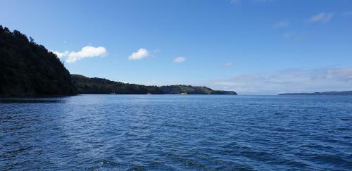 The Sassy Bach - Kawau Island