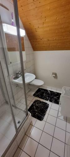 Apartment ? Bern City