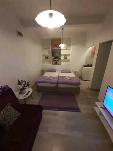 Apartman Borovi