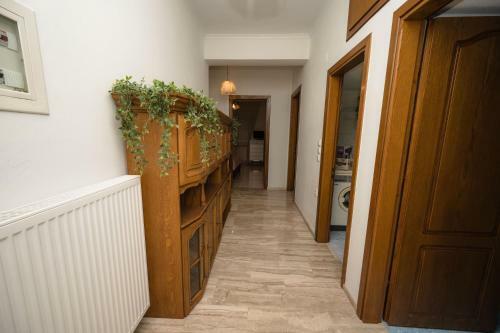 Downtown Cozy Apartment
