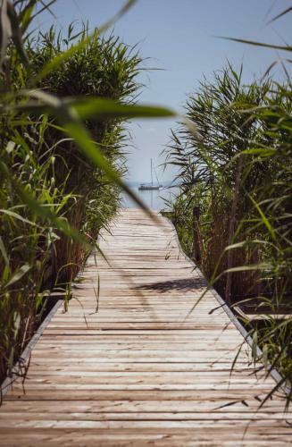 Apartamento F?zliget Mang� Garden