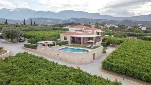 Cretan Vineyard Hill Villa II