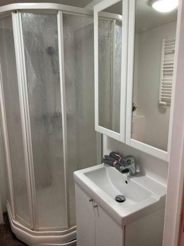 Good Studio Apartment Downtown Reykjav�k