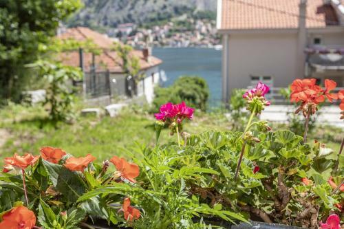 Muo Sea Front Apartments Kotor