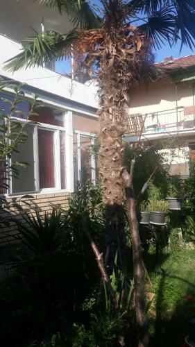 Apartamento Mihailce Appartments