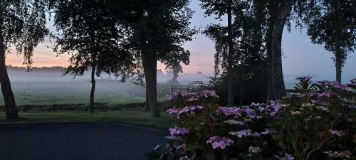 Bed & Breakfast Slapen Bij Bonanza