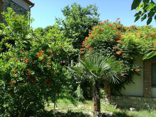 Old House Apartment With Garden Area