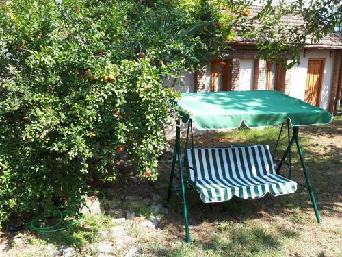 Old House Apartment With Garden Area