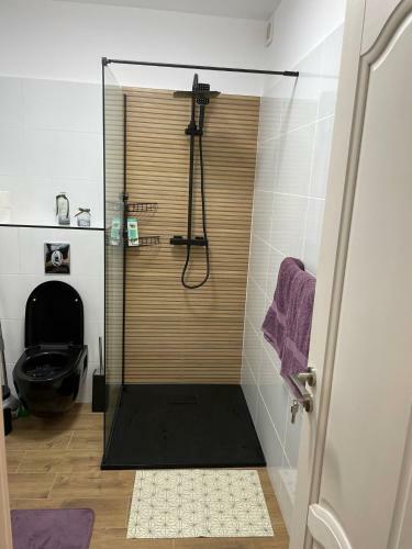 Apartament Gabriela 39