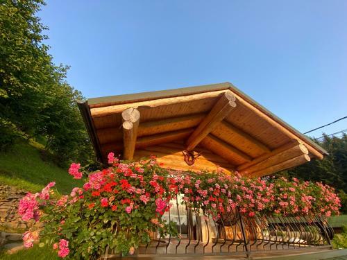 Hostal Pensiunea Agroturistica Borsa