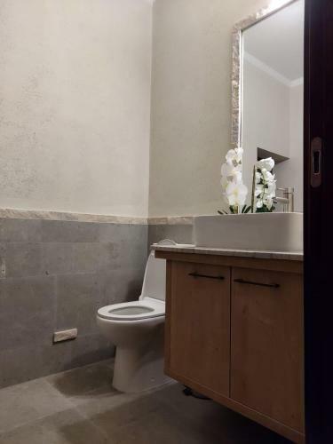 Villa Luxury Resort Brezoi