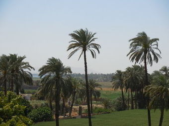 Hotel Sheherazade