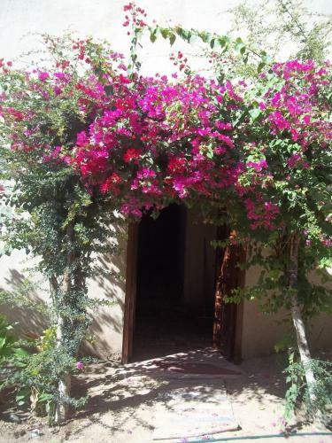 Hotel Nour El Gourna