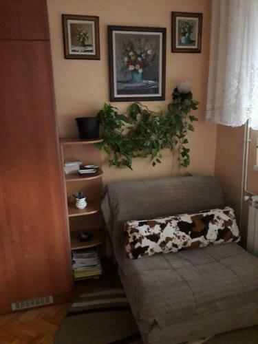 Apartman Miljkovic