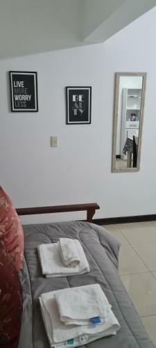 Apartamento Departamento Amoblado Tres Cerritos