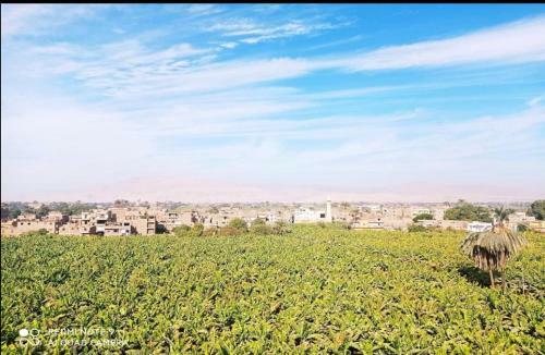 Immaculate 1-bed Apartment In Al Bairat