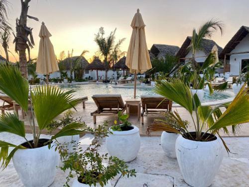 Hotel Zen Boutique Resort