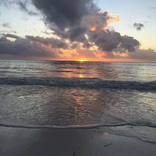 Barefoot Beachfront Villa, Chef, Pool, Sleeps 12