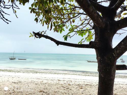 Hostal Nungwi Beach Guesthouse