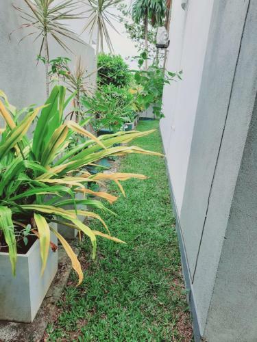 Apartamento The Colombo Bungalow