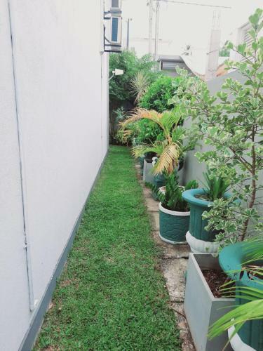 Apartamento The Colombo Bungalow