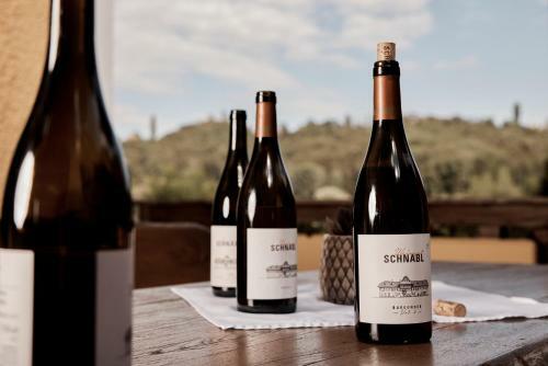 Hostal Bio Weingut Matthias Schnabl
