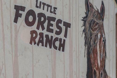 Apartamento Little Forest Ranch, Natur Pur Mit Reitm�glichkeit