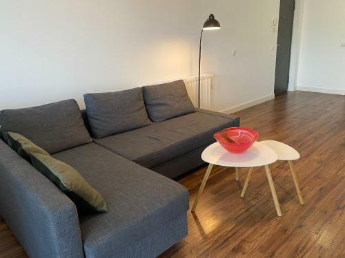 Apartament Volta- Cluj City