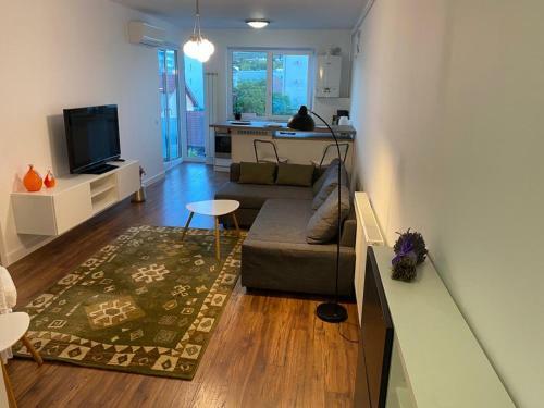 Apartament Volta- Cluj City