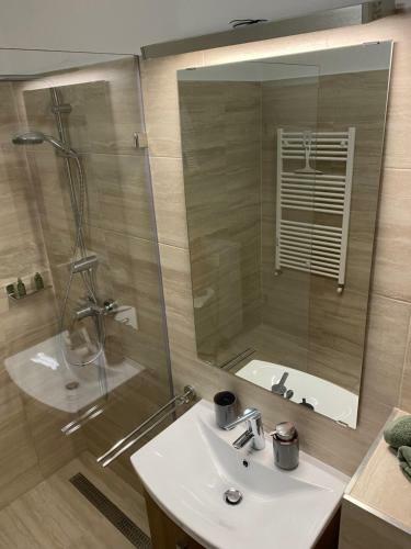 Apartament Volta- Cluj City