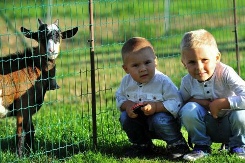 Villa Resort Chalupkovo