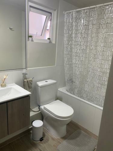 Apartamento C�modo Y Acogedor Departamento Pucon Chile