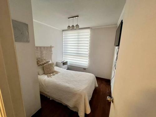 Apartamento Departamento Ubicado En El Coraz�n de Santiago