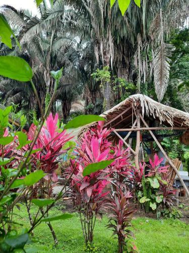 Albergue Mariposa Azul - Carate -