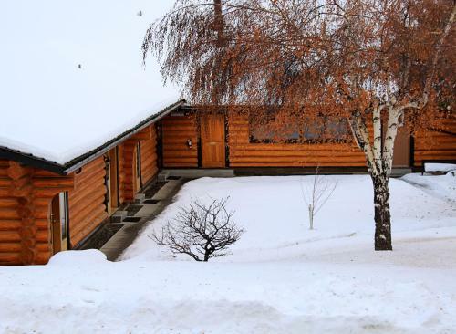 Cariboo Lodge