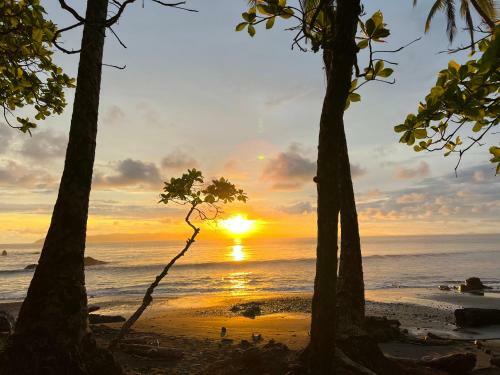 Hotel Paraiso Del Surf Pavones