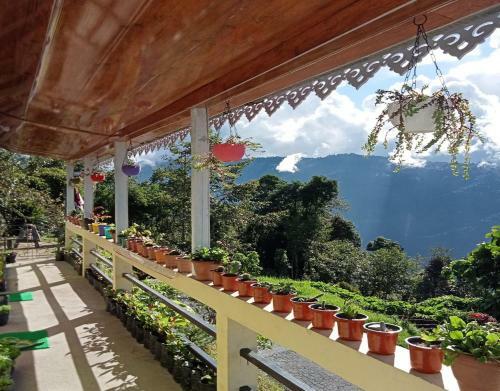 Sona Homestay By Stayapart