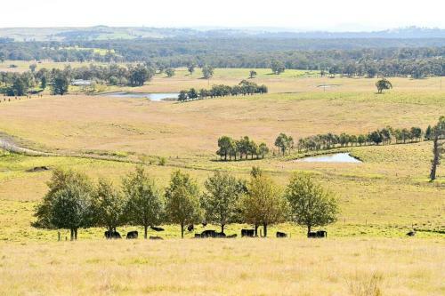 Somerton Barn: Alpacas, Cattle & Amazing Views