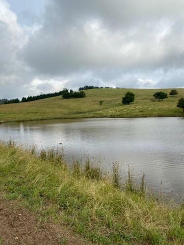 Somerton Barn: Alpacas, Cattle & Amazing Views