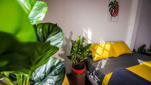Apartamento Feli Home 2 - Peaceful House