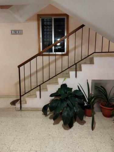 Apartamento Aloha Barreiros