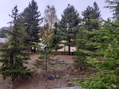 Apartamento Studio Centre Station Auron 4 Personnes Wifi