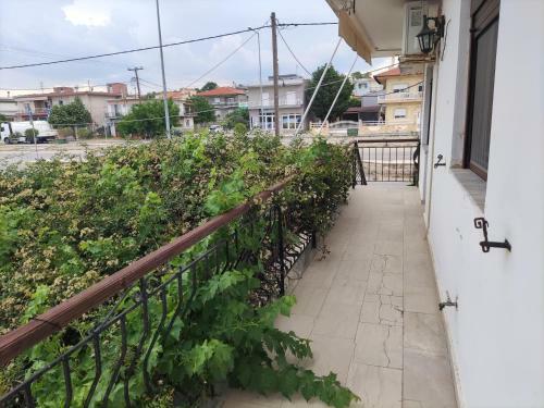 Maras Luxury Apartments In Feres