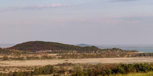 Hostal Balatoni Krokodil Vend�gh�z
