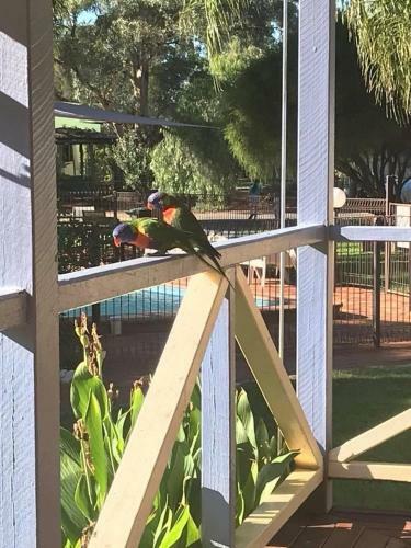 Tambo Mill Motel & Caravan Park