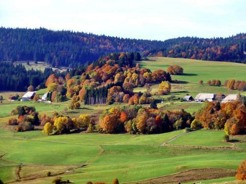 Ferien- Und Wellness Hotel Schwarzw�lder Hof